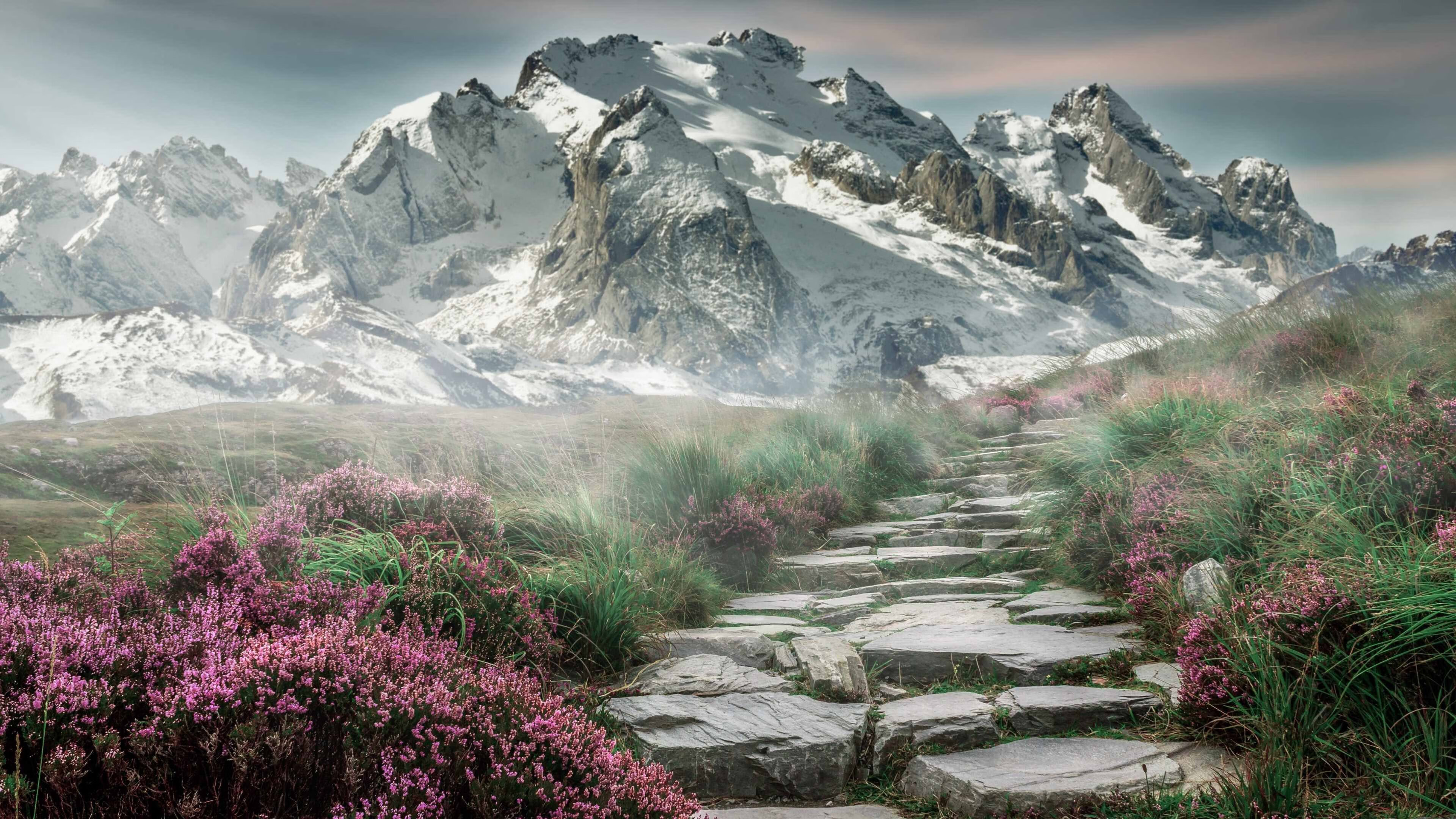 爱游戏tv-东欧铁骑神话破灭，东亚利刃刺穿纪录—韩国横扫德国，张本智和开启新时代