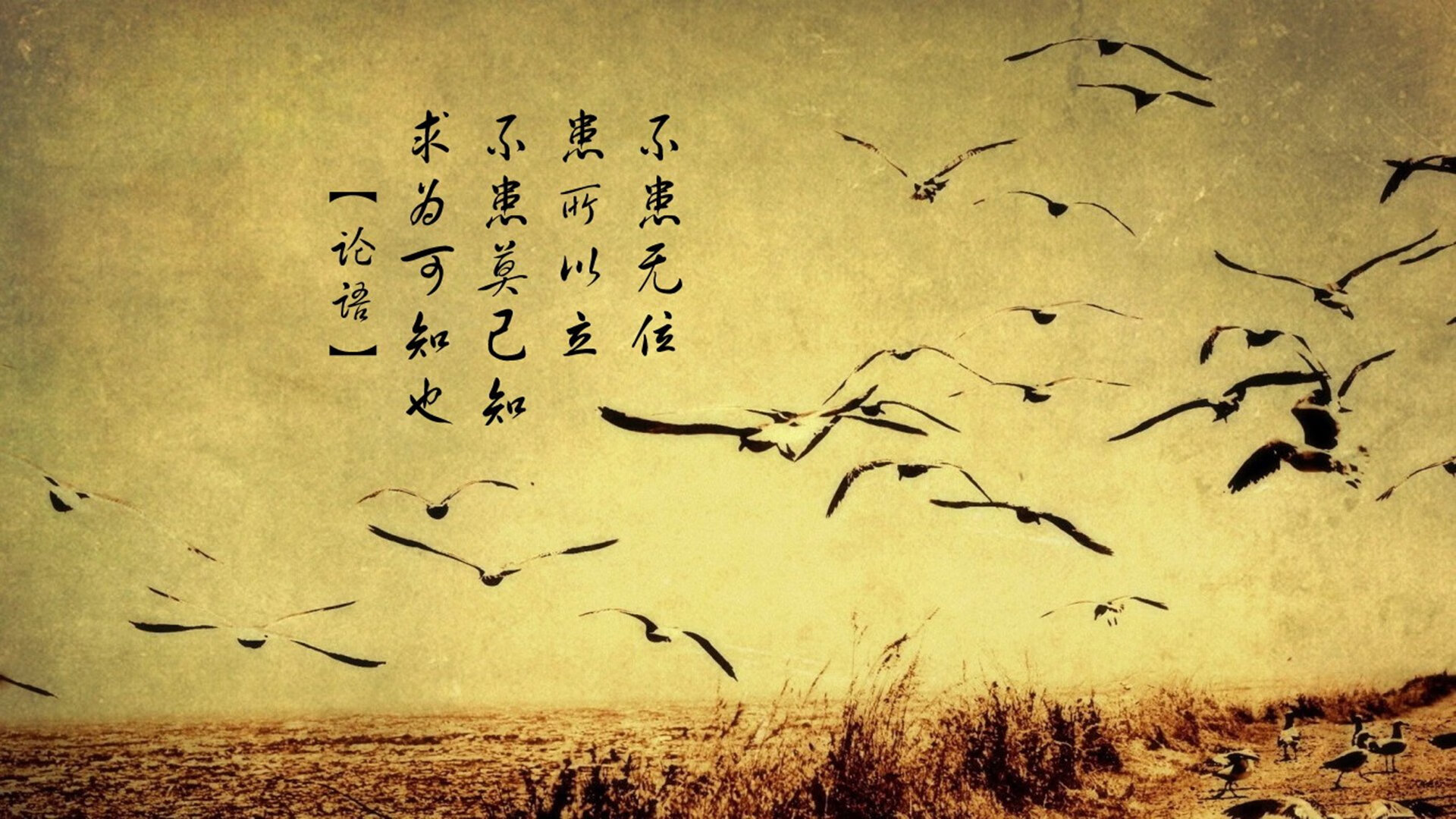 爱游戏官方-决胜毫厘之间，皮亚斯特里领衔雷诺绝杀索伯