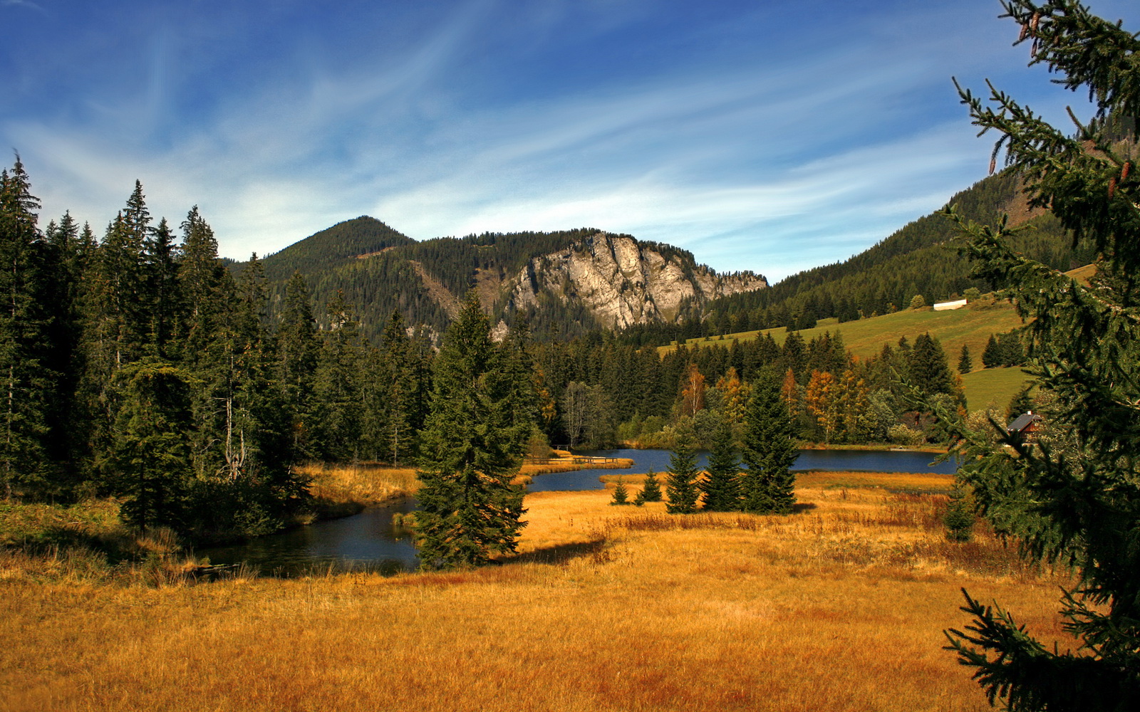 爱游戏体育-黎明前的一剑，奥亚尔萨瓦尔的哲学式进球，如何定义了突尼斯与玻利维亚之战