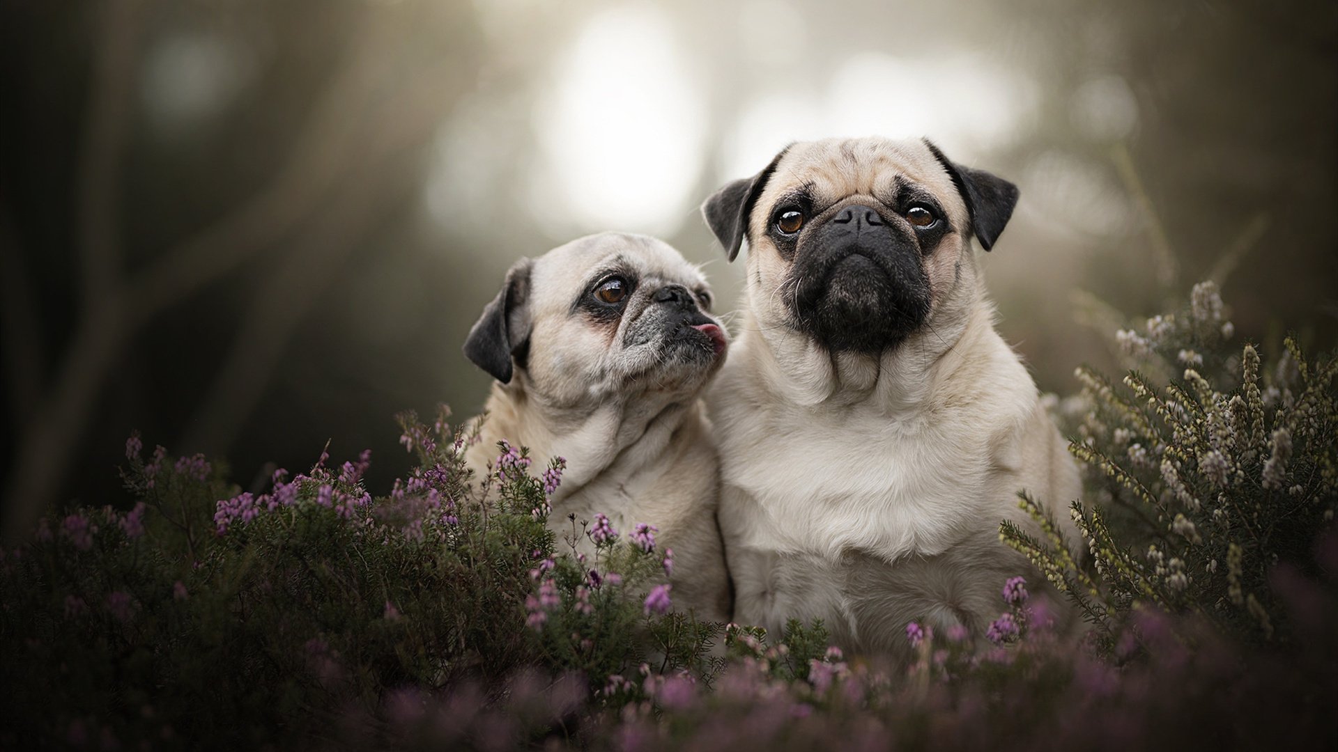 绝地逆转，奥亚尔萨瓦尔末节爆发，毕尔巴鄂主场奇迹带走切尔西