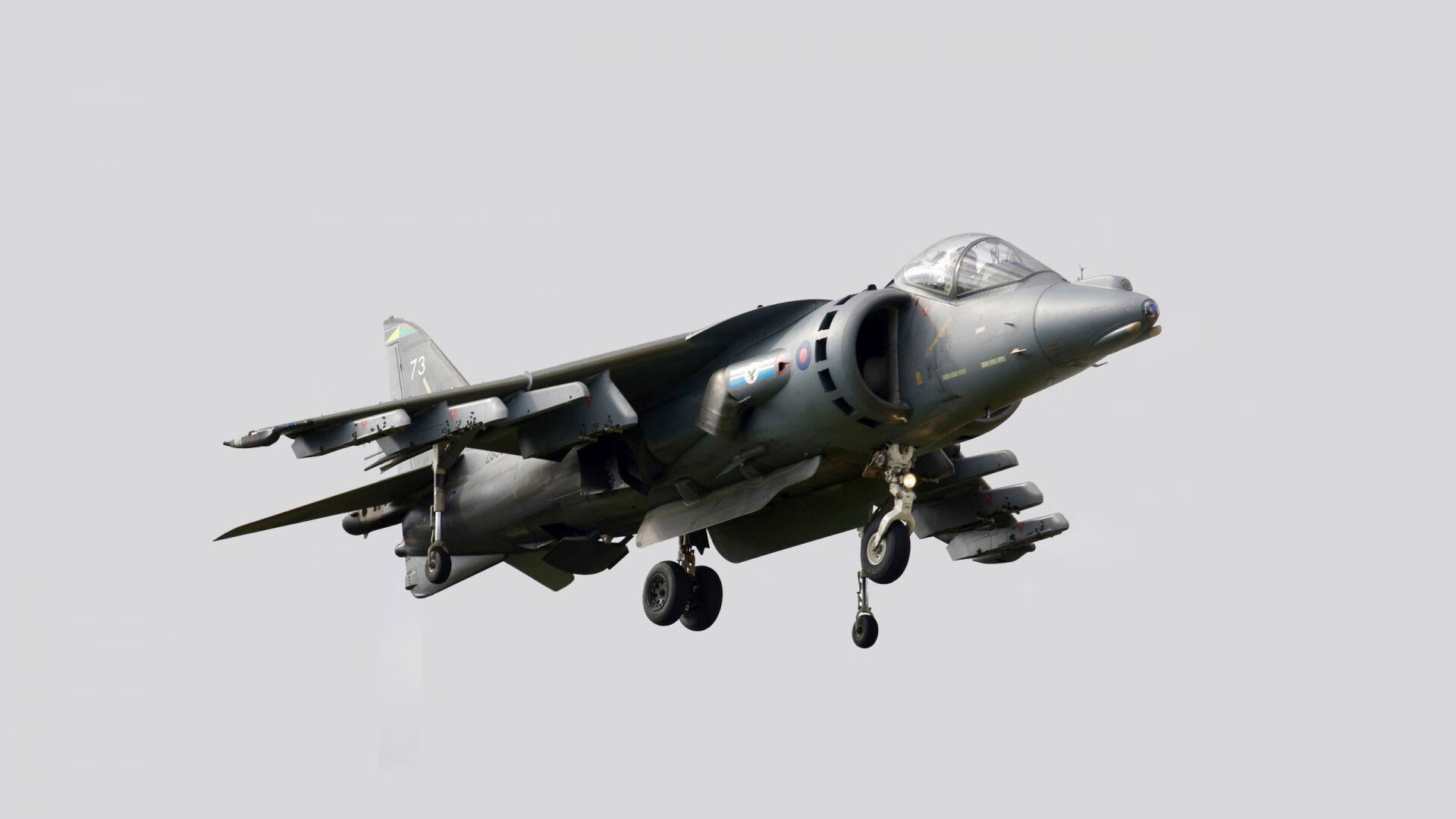 当冰冷锁喉遇见未来巨兽，文班亚马末节17分撕裂纽约，灰熊横扫背后的战术革命