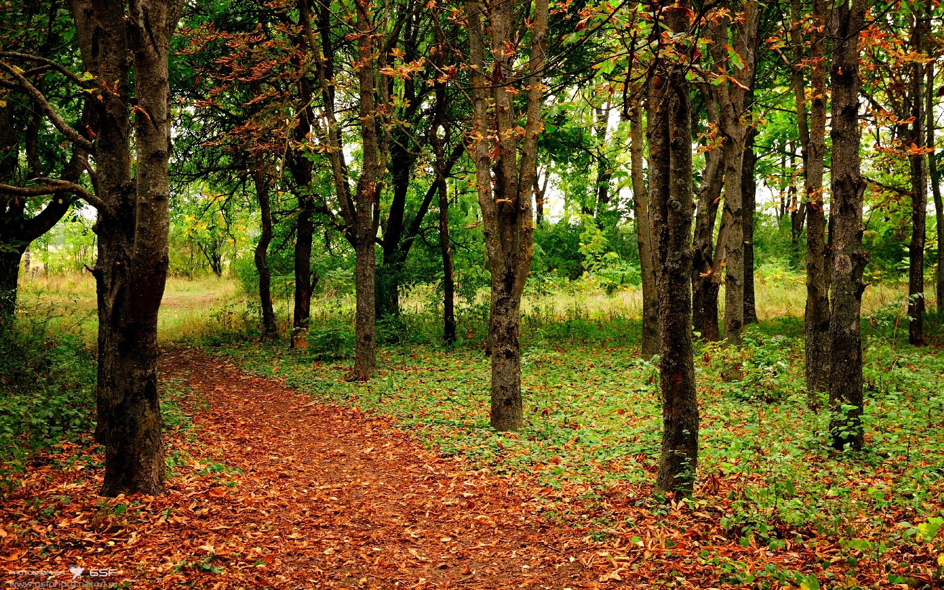 擎天神柱,锡安生涯之夜击穿活塞防线,篮网叹息成背景音