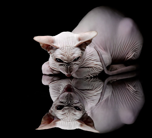 爱游戏体育-尘封的里程碑，佛罗伦萨的暮色中，卡塞米罗完成200场静默加冕