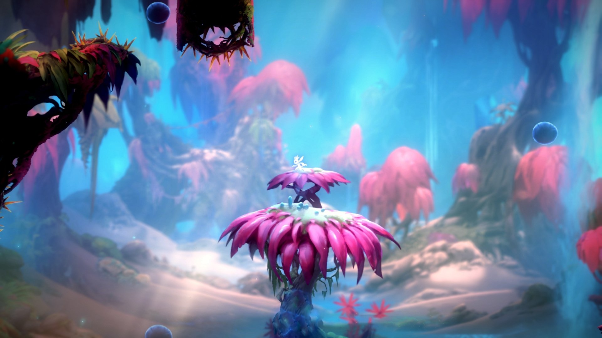 北大西洋的冷焰，在世界的边缘，点燃冠军的唯一性