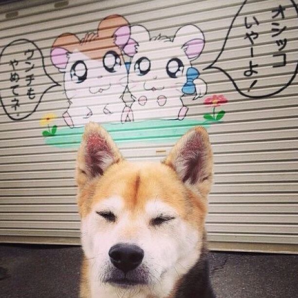 双重王冠，萨克拉门托的团队加冕与勒布朗的关键时刻