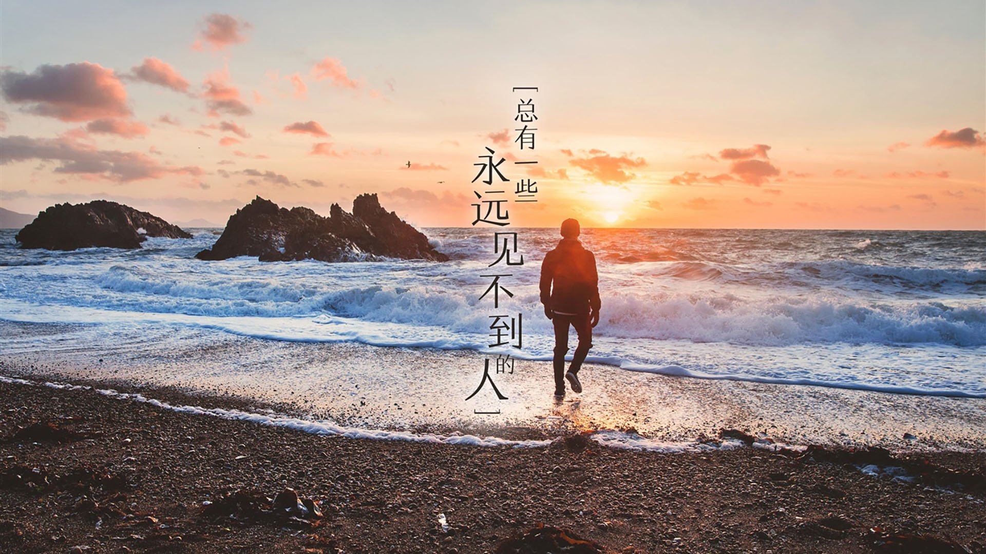 当西亚卡姆化身无解之谜，森林狼式的团队胜利哲学