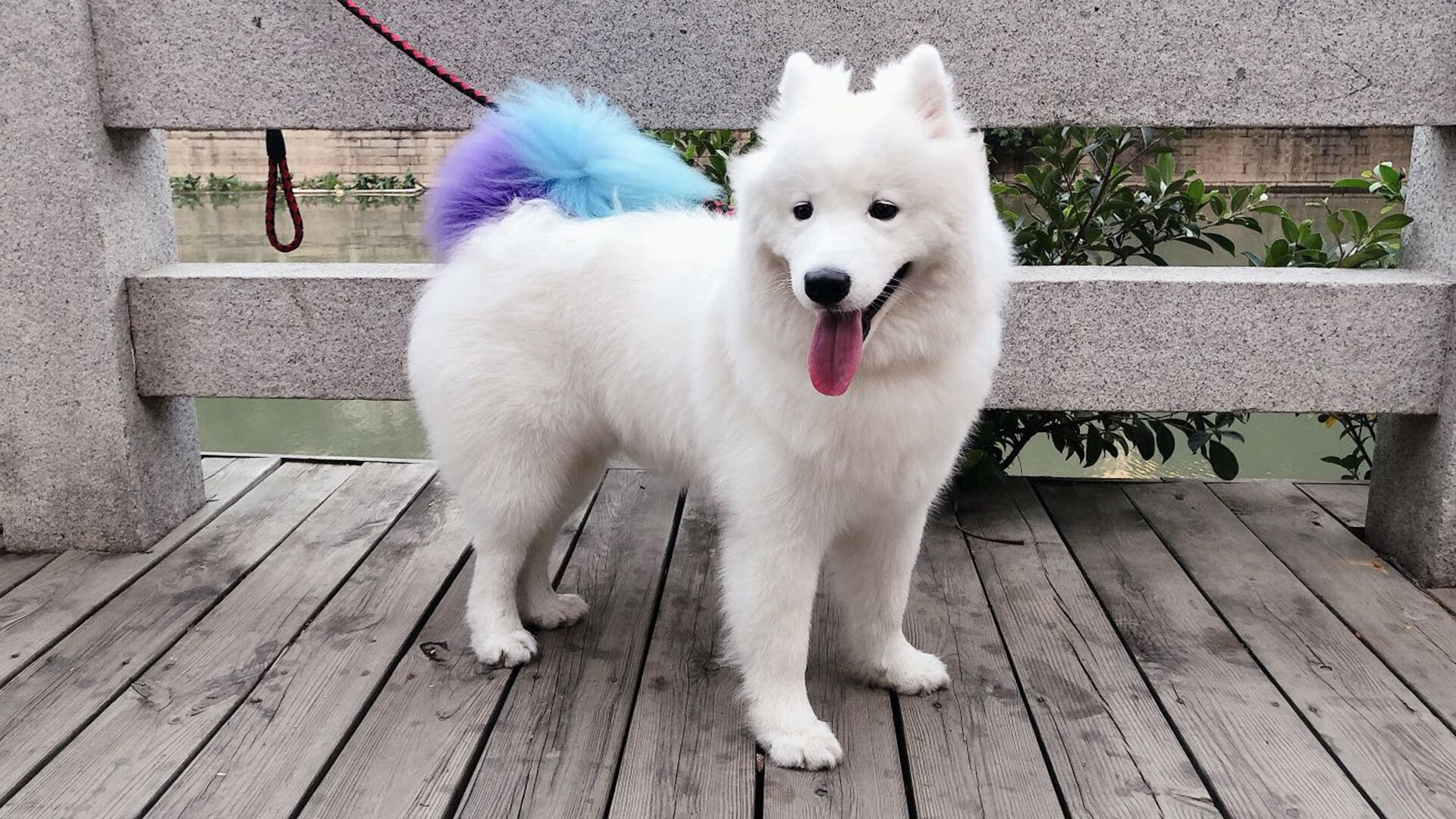 三个拓展方向）