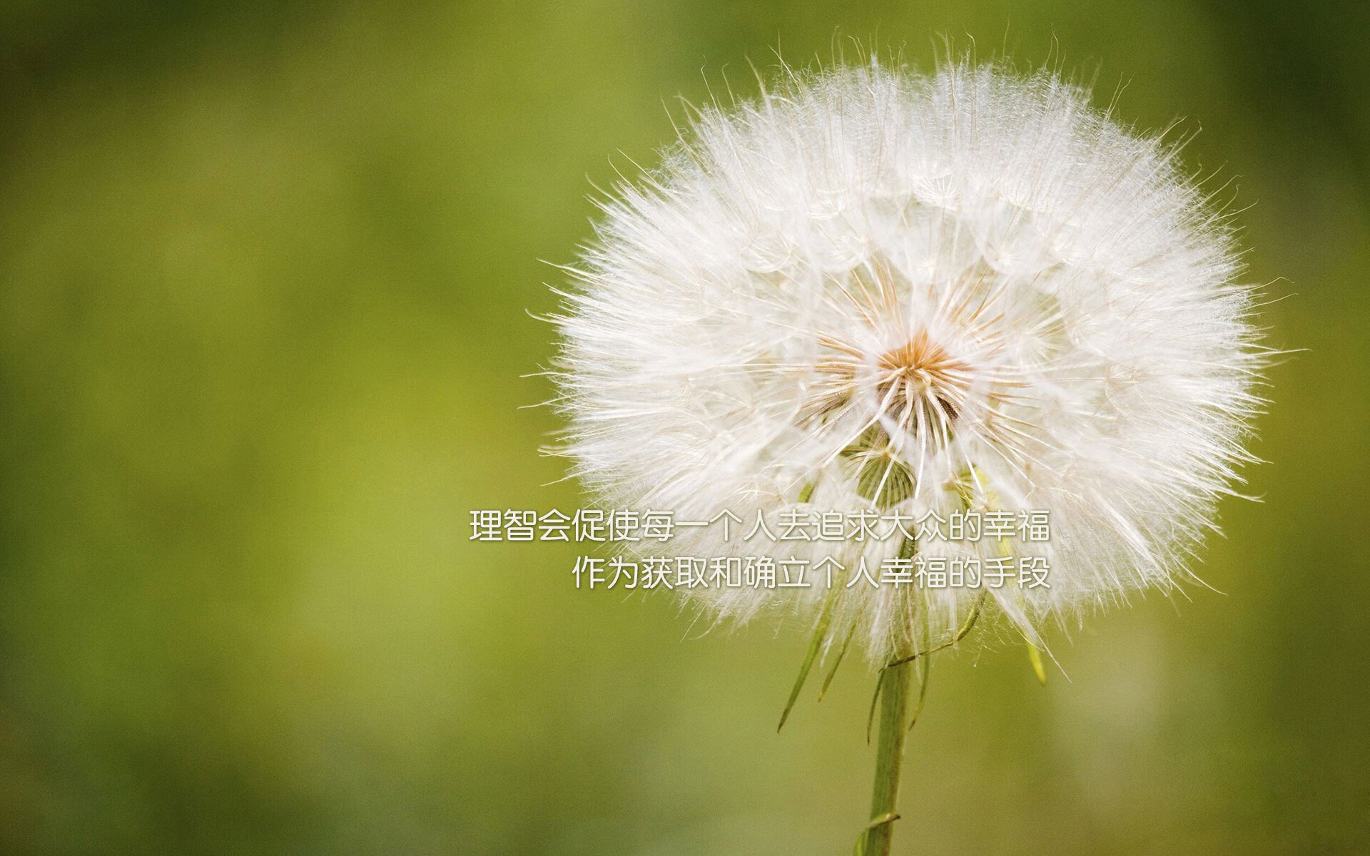爱游戏官方入口-南美雄鹰的致命一击，2026世界杯B组焦点战，坎塞洛主导战术革命，厄瓜多尔绝杀喀麦隆