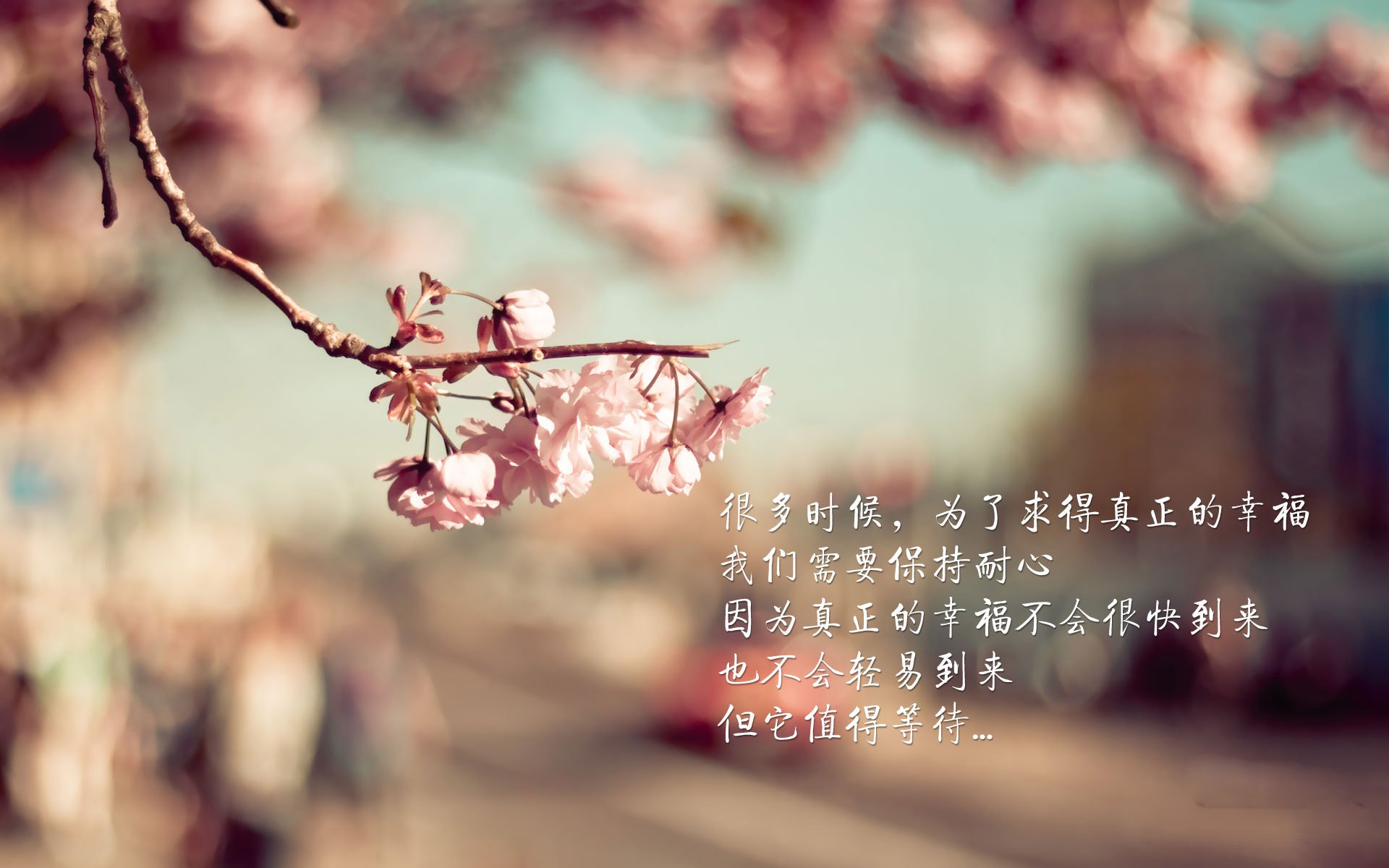 唯一之击,当库尔图瓦的左脚写下2026世界杯C组的神谕