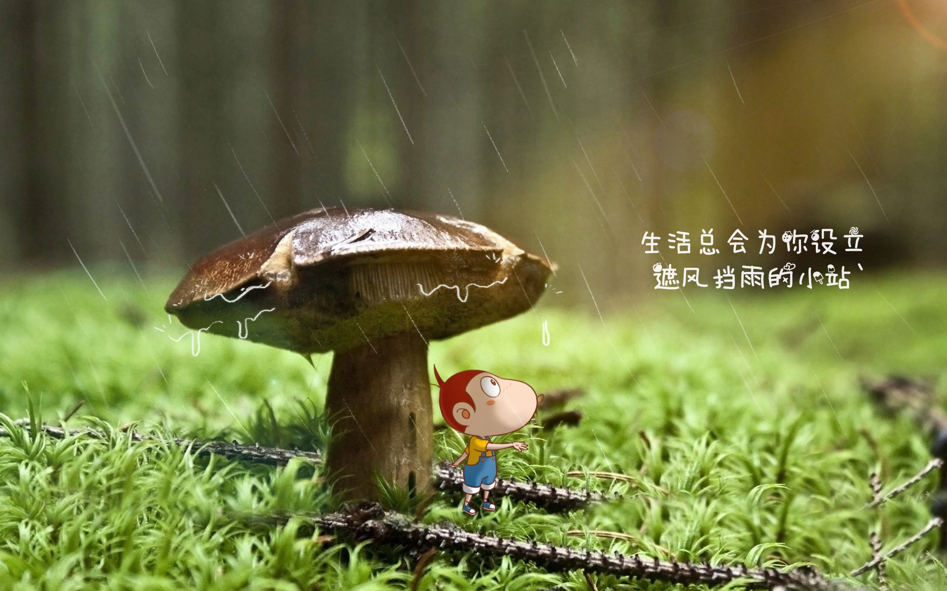 蓝白与橙黄的唯一叙事，2026世界杯A组，哥伦比亚完胜印度，C罗的最后一舞仍在高歌