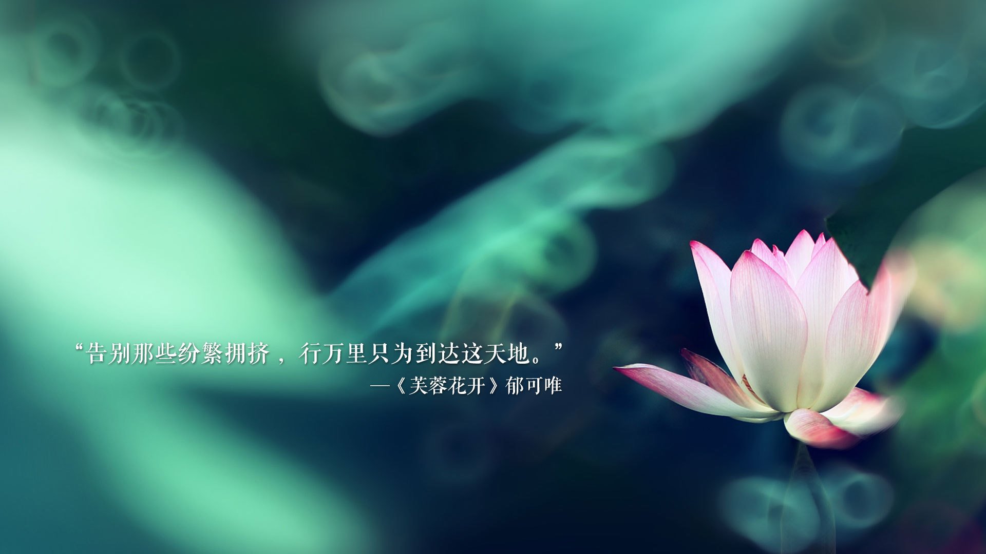 爱游戏APP-冷雨夜，莱万剑指柏林墙，冰岛人的叹息，与那个被写进世界杯的替补